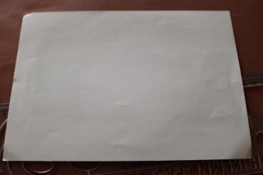 Preview: Druck - Bildnis - Ritterkreuzträger Johannes Frießner mit DKiG